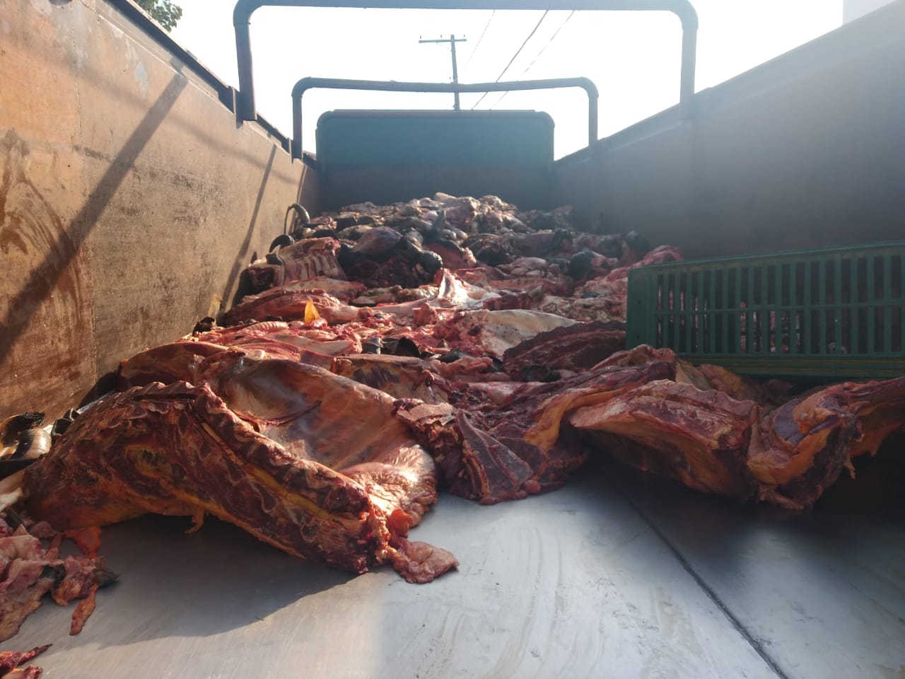 Trio é preso com carregamento de carne clandestina na Via Dutra, que era vendida para comércios do Vale do Paraíba