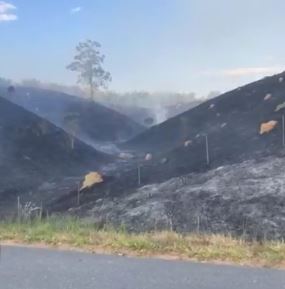 Área de 100 mil m² é consumida pelo fogo e interdita estrada de Campos do Jordão