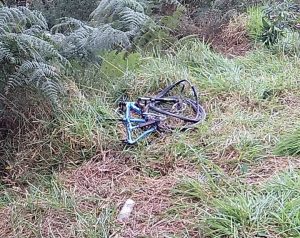 Ciclista morre e carro cai em ribanceira na estrada de Campos do Jordão