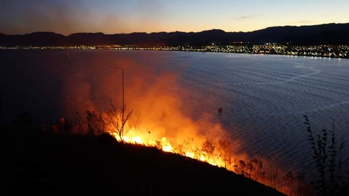 Fogo no morro do Camaroeiro é controlado em Caraguatatuba