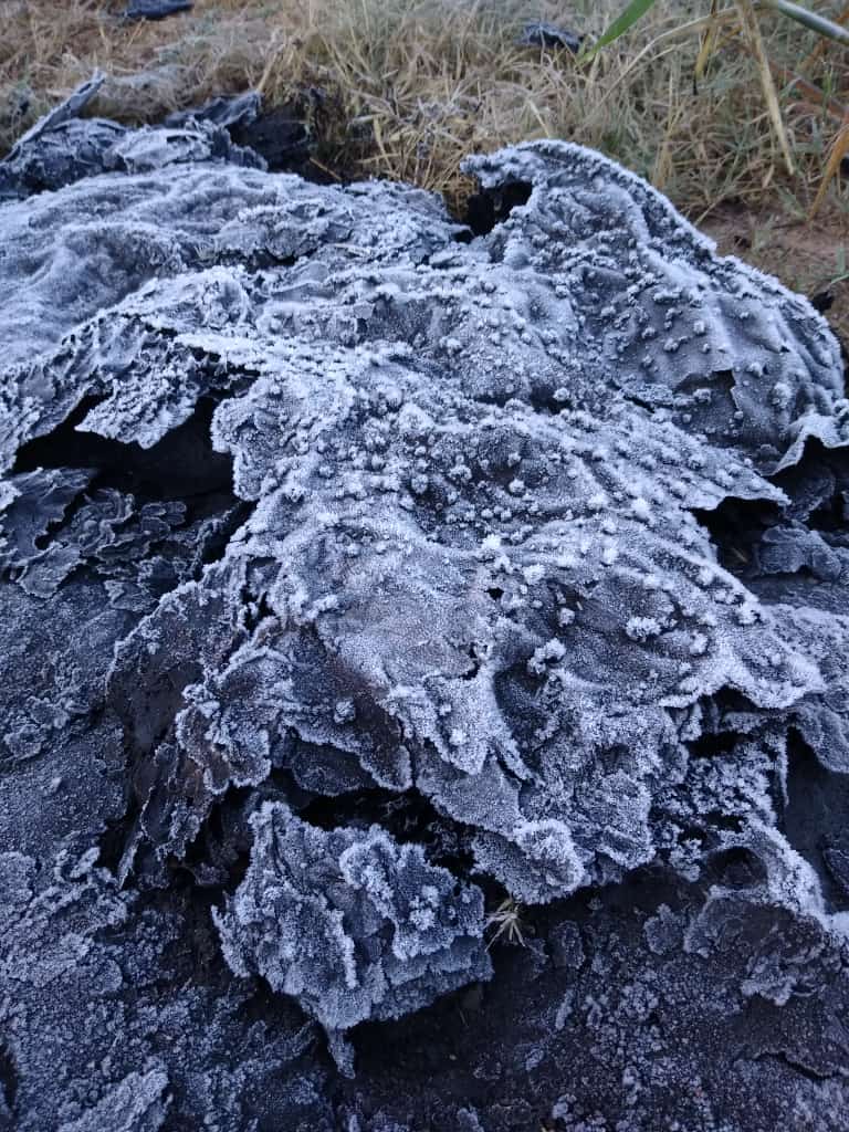 Prepare o agasalho: meteorologia não descarta neve no Sudeste na semana que vem