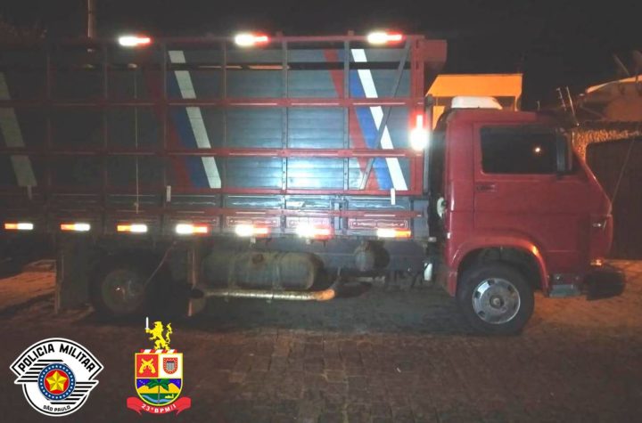 PM apreende carga de gado com procedência duvidosa em Lorena