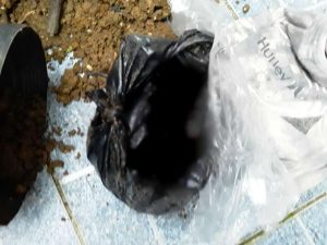Recém-nascido é achado em saco plástico dentro de vaso de planta em Ubatuba