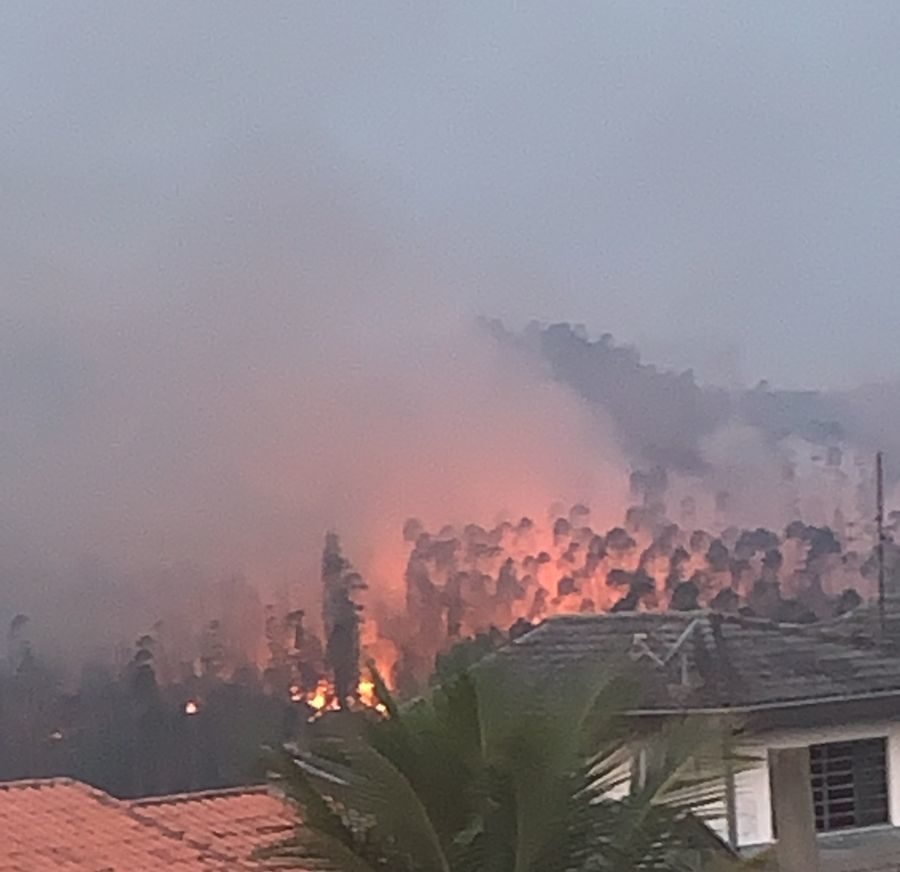 VÍDEO: Grande área de queimada consome vegetação em São José dos Campos
