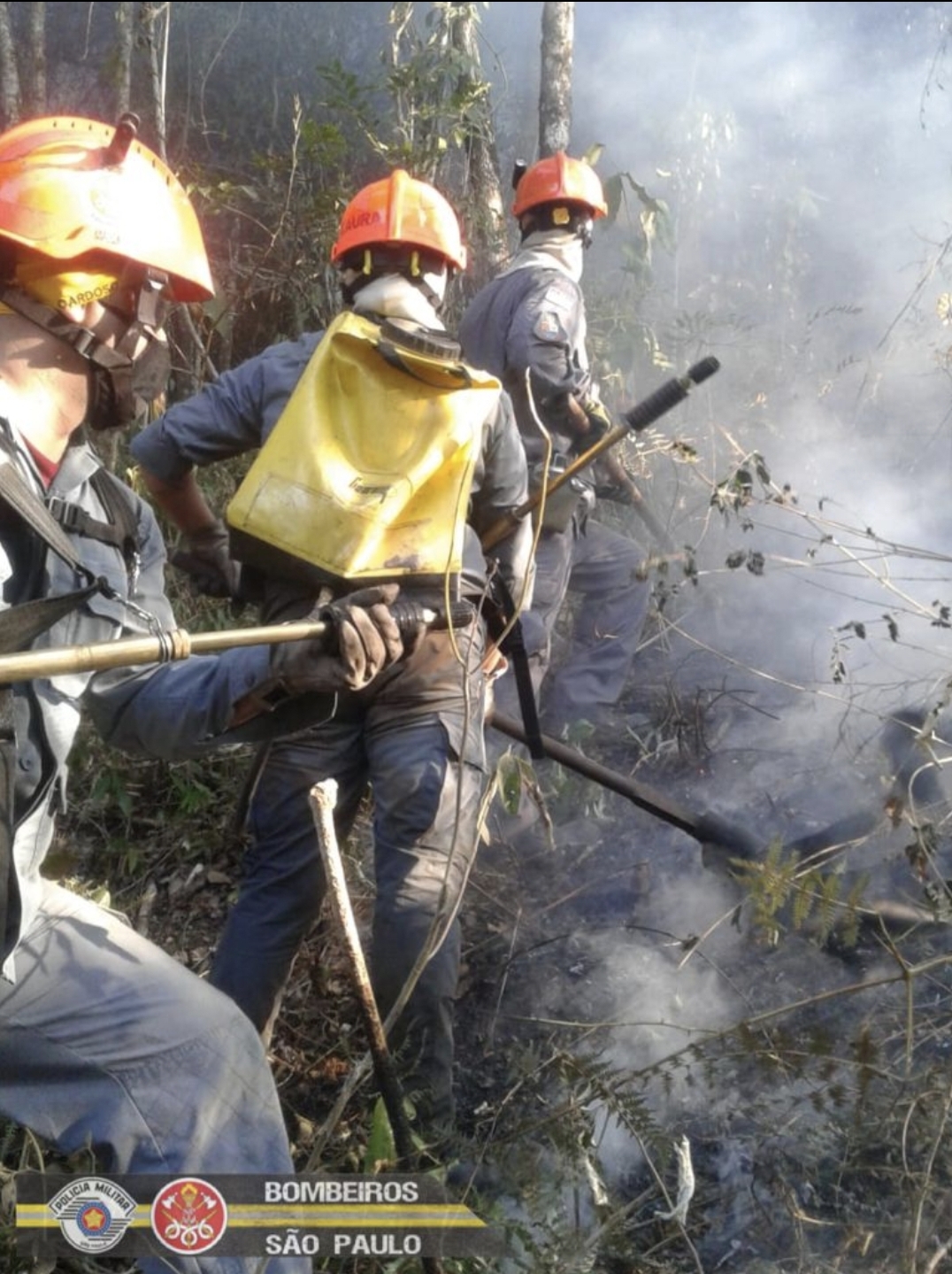 Bombeiros trabalham em 4 frentes para conter fogo no Horto Florestal em Campos do Jordão