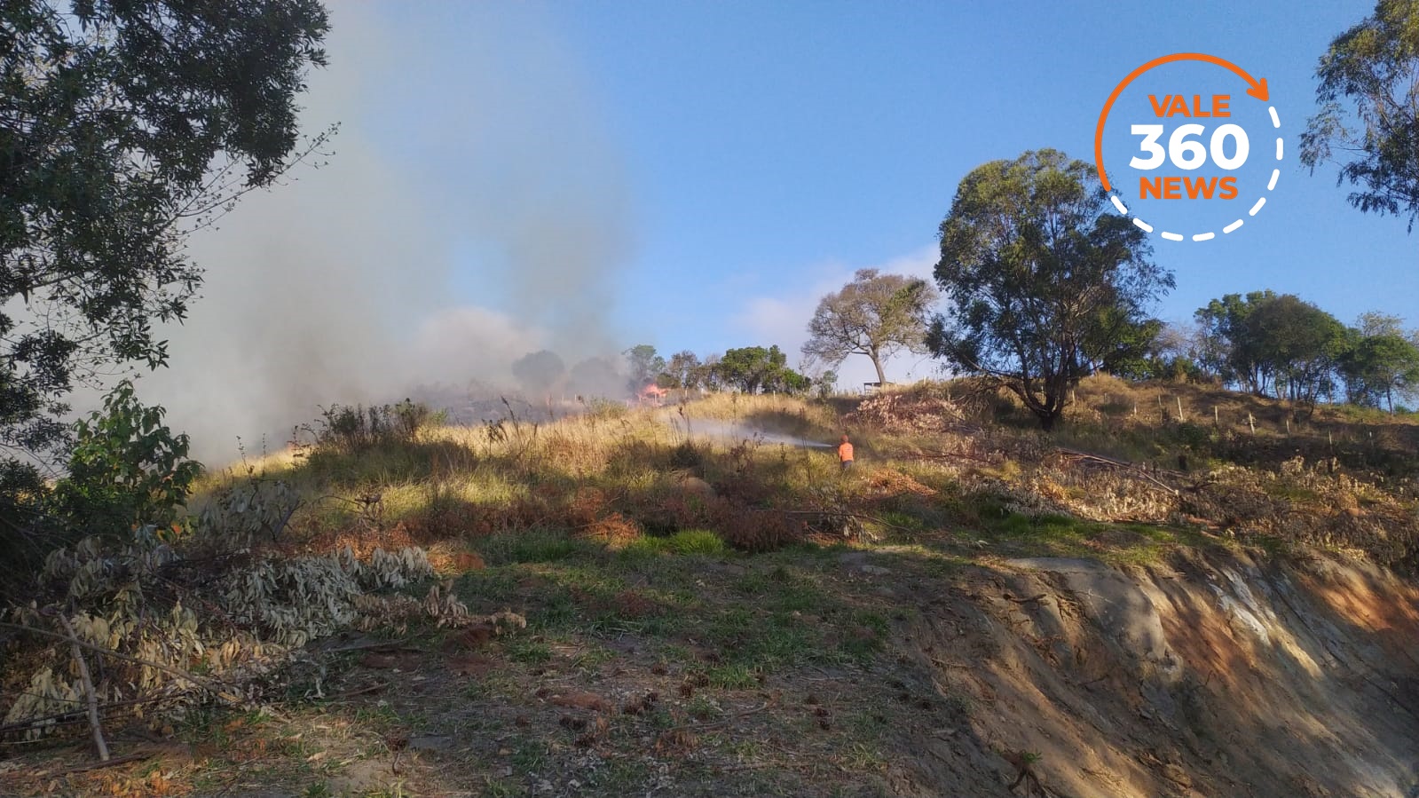Fogo atinge área do lavandário em Cunha