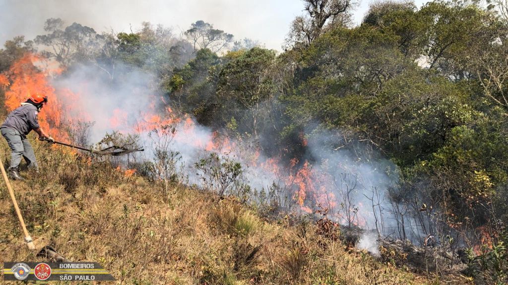 Fogo consome 230 mil metros quadrados de vegetação em Campos do Jordão