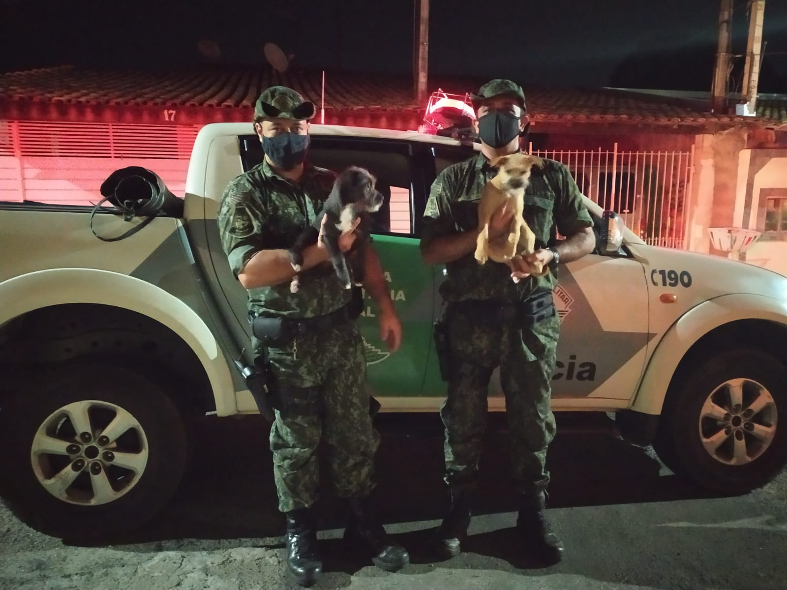PM Ambiental identifica suspeitos de abandonar filhotes de cães em Taubaté