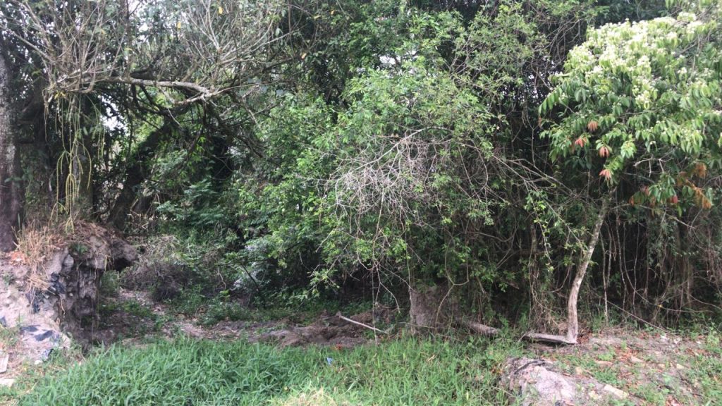 Jovem desaparecido em 2019 é encontrado morto em Caçapava
