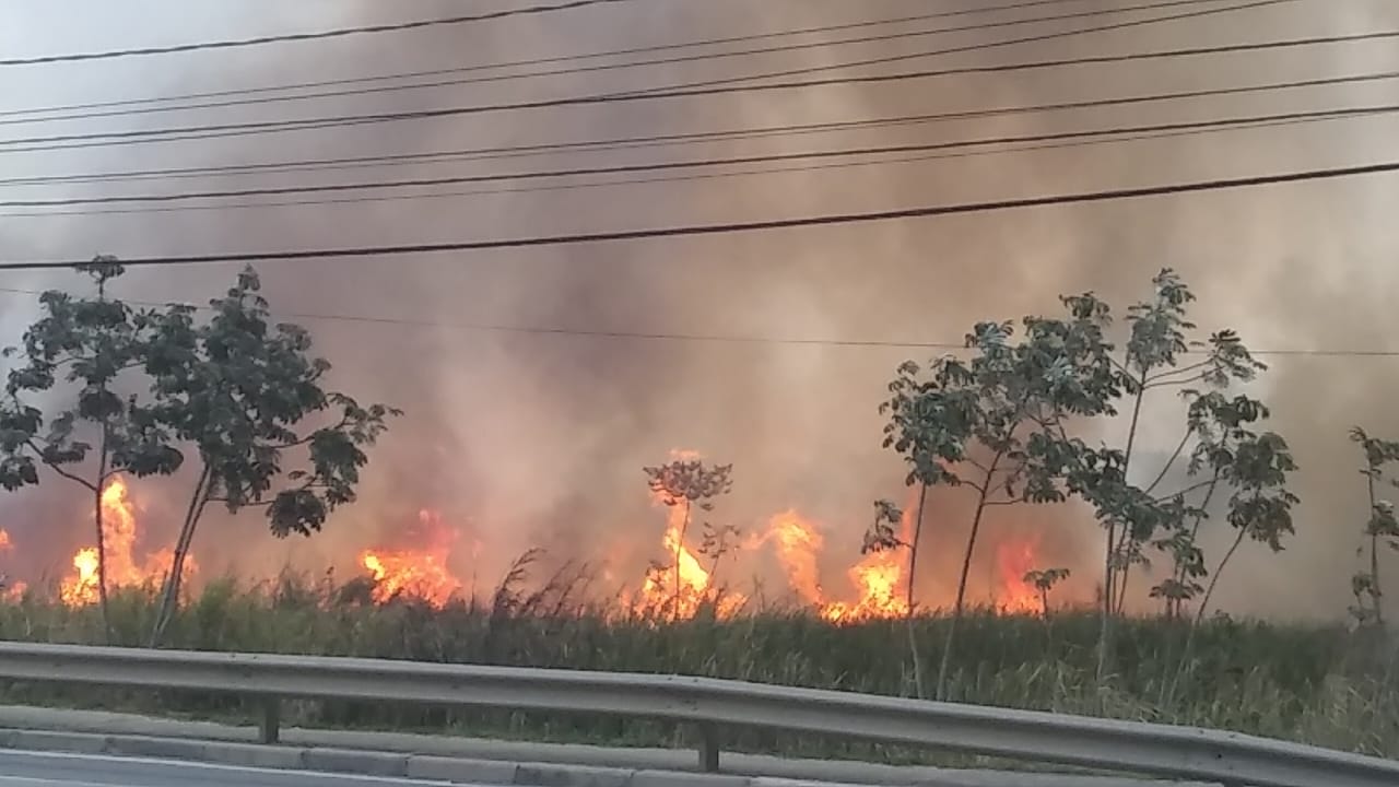 Queimada atinge área de 300 mil metros quadrados em Pindamonhangaba