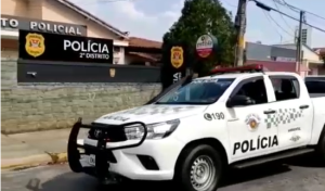 Cães são abandonados em via de Guaratinguetá e Policia Ambiental encontra mulher que os abandonou