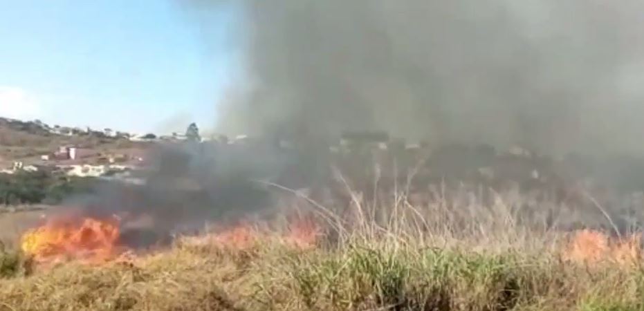 VÍDEO: Defesa Civil e Bombeiros combatem queimada perto da LG em Taubaté