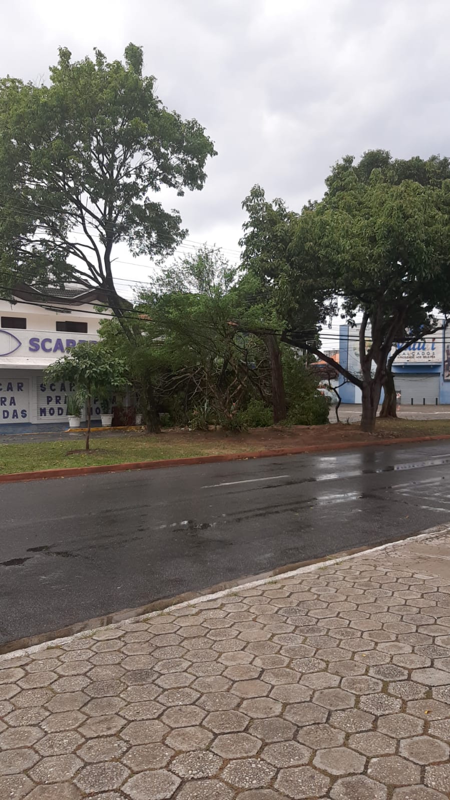 Cemaden alerta para risco moderado de alagamentos e escorregamento de terra no Vale do Paraíba e Litoral Norte