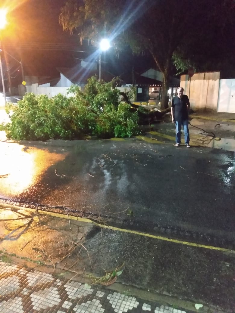 Temporal derruba 15 árvores em Tremembé e prefeito dirige trator para desobstruir vias