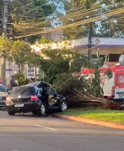 Acidente com carro derruba árvore e deixa três feridos em São José dos Campos