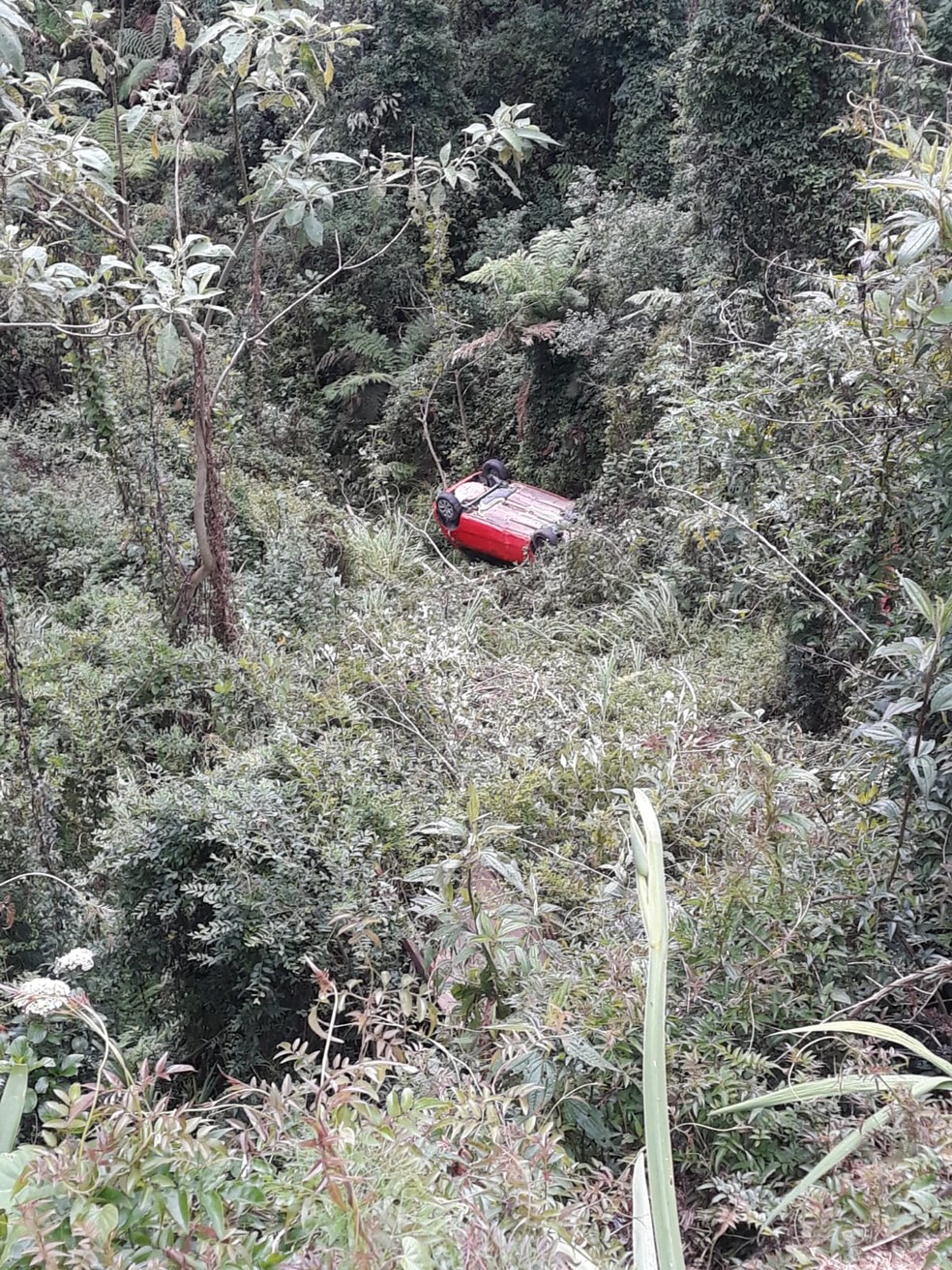 Veículo despenca 200 metros em Ribanceira em Campos do Jordão