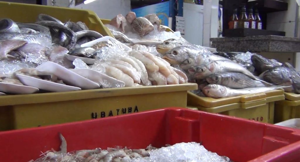 170 kg de pescado são apreendidos em Taubaté devido à piracema