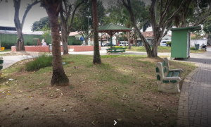 Homem é atacado por enxame de abelhas em São José dos Campos 1 Homem é atacado por enxame de abelhas em São José dos Campos