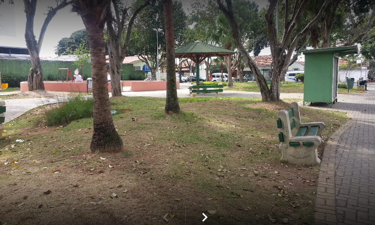 Homem é atacado por enxame de abelhas em São José dos Campos