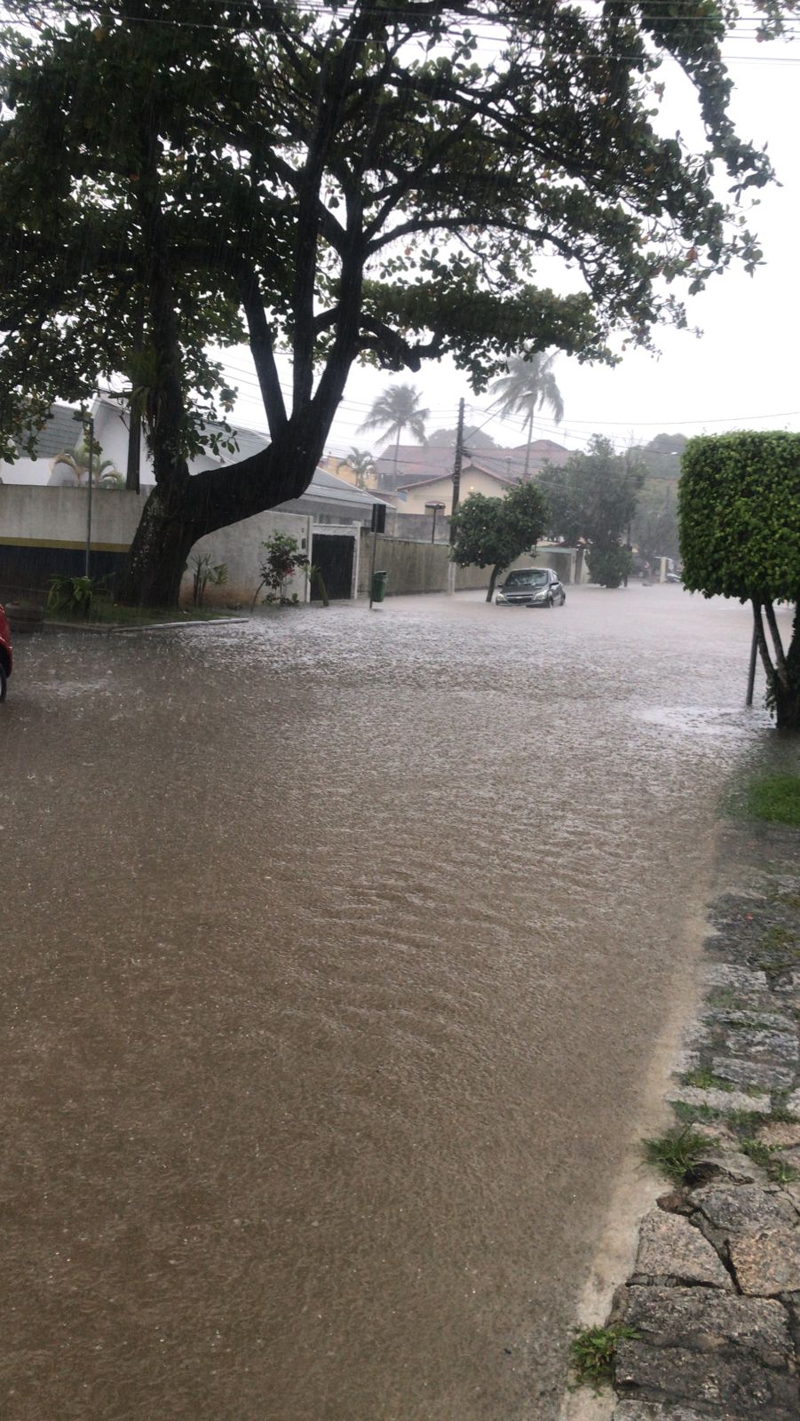 Ruas viram rios em Ilhabela. Cemaden alerta para riscos de deslizamentos de terra na cidade