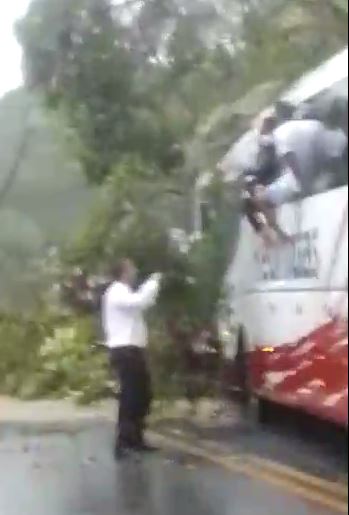 Barreira cai na Rio-Santos em Ubatuba e árvore atinge ônibus de turismo. Passageiros deixam o veículo pela janela