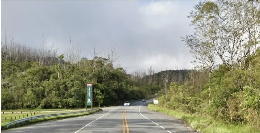 Rodovia Oswaldo Cruz é interditada por acidente