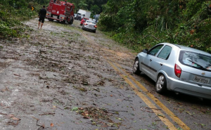 Tempestade derruba árvores e causa estragos em Ubatuba 