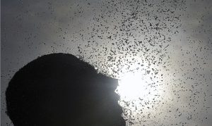 Taubaté deve ter recorde de calor nesta terça. Em Guaratinguetá termômetros registraram 36ºC