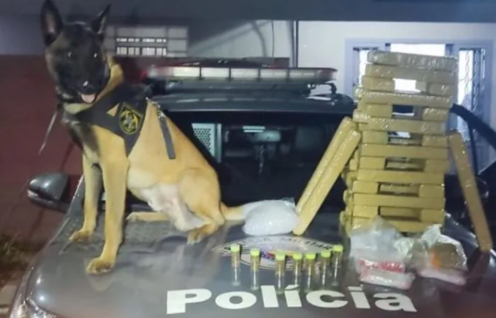 Casal é preso com mais de 30 kg de maconha em São José dos Campos