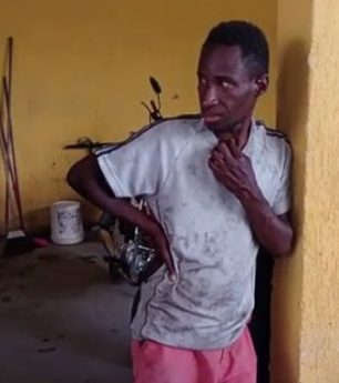 Gu da Baronesa é encontrado na Via Dutra em Santa Isabel