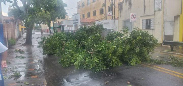 Prefeitura recebe mais de 70 chamados de ocorrências por causa da Chuva e Vento em São José dos Campos  neste domingo