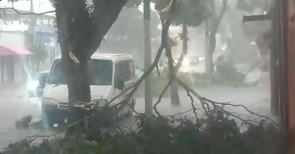 Prefeitura recebe mais de 70 chamados de ocorrências por causa da Chuva e Vento em São José dos Campos neste domingo 2 chuva-e-vento