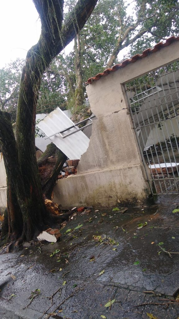 Prefeitura recebe mais de 70 chamados de ocorrências por causa da Chuva e Vento em São José dos Campos neste domingo 3 chuva-e-vento