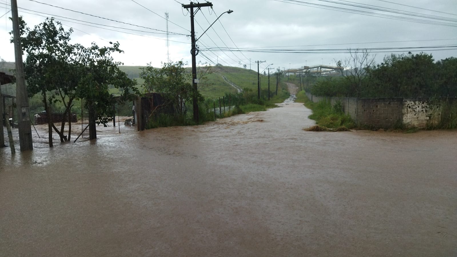 chove