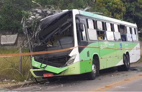 onibus