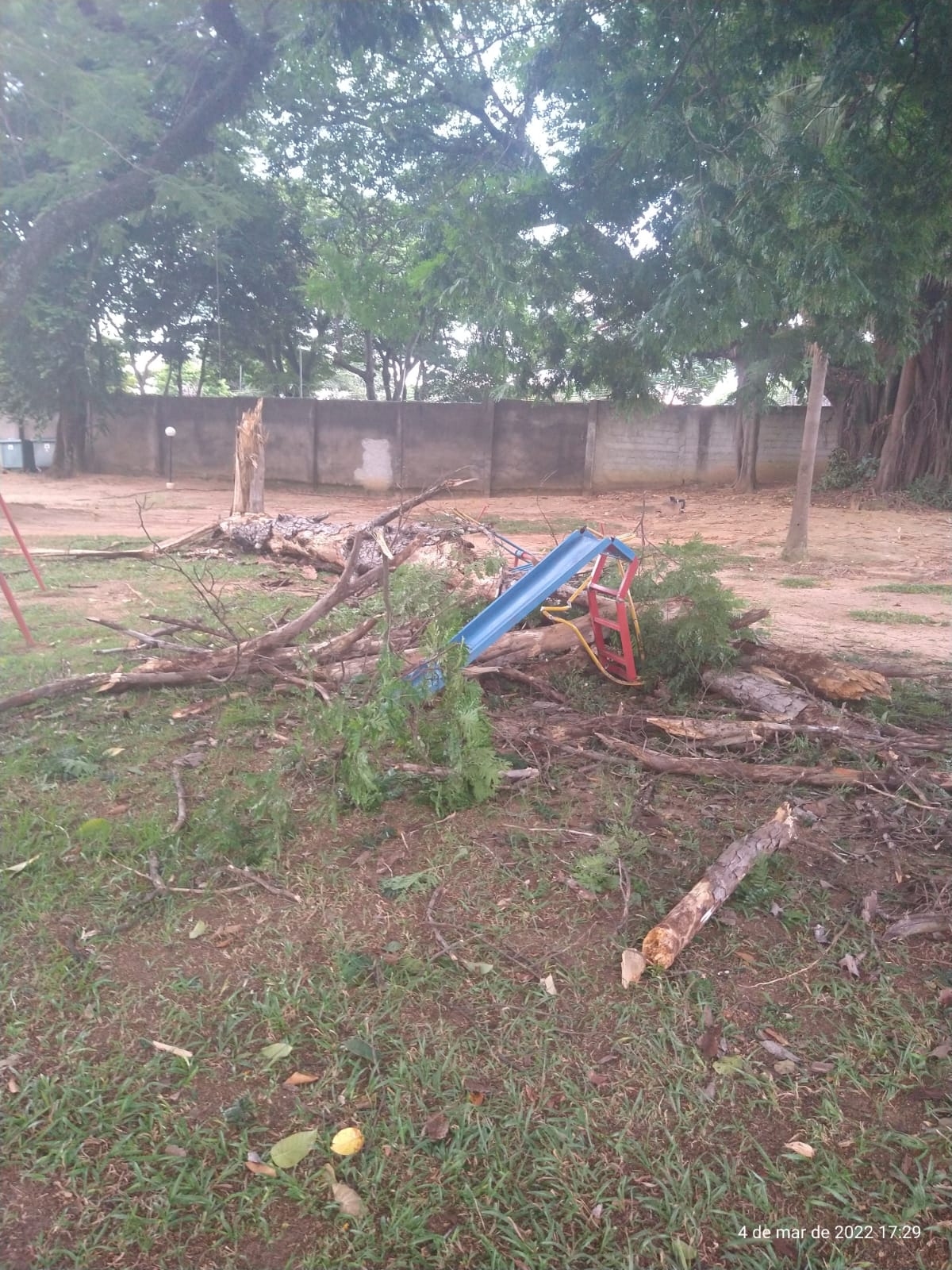 Vendaval derruba árvores em Taubaté