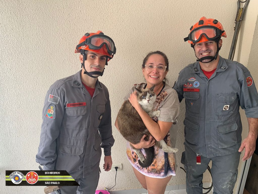 Bombeiros de SJC resgatam gato de tubulação após 4 horas de trabalho 1 bombeiros-de-sjc
