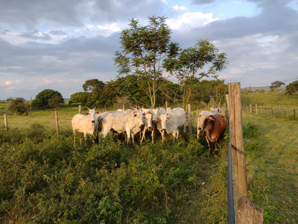 sitio
