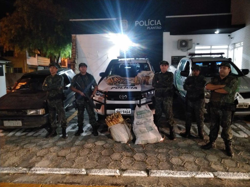 Casais são presos extração ilegal de Palmito em Guaratinguetá e multados em R$ 388 mil 1 palmito