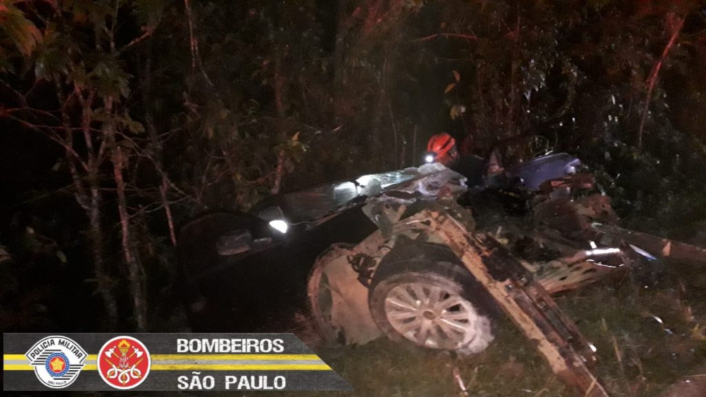 Carro atropela Capivara, bate em ônibus na pista contrária e pelo menos cinco ficam feridos na Rio-Santos em Ubatuba 1 capivara