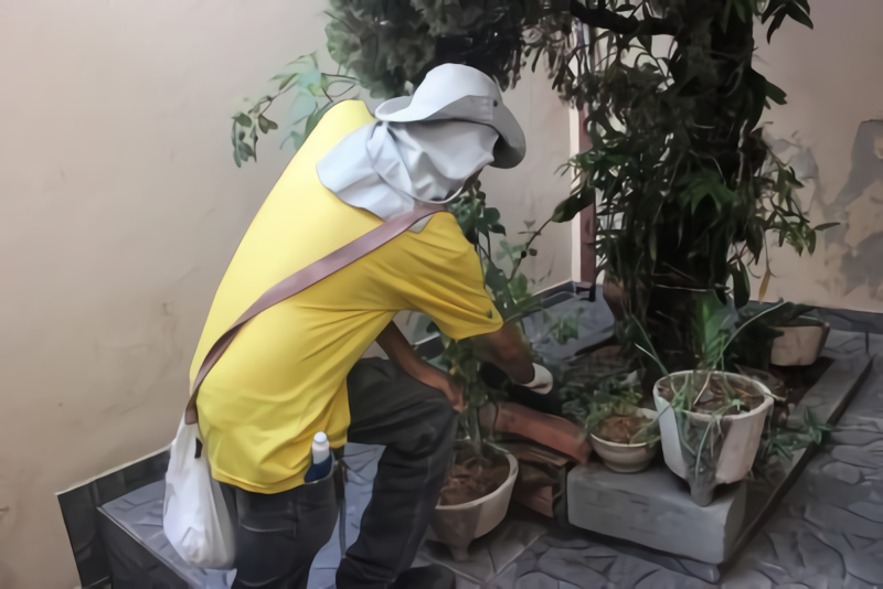 risco-de-epidemia-de-dengue-em-taubaté