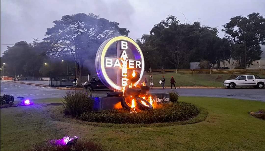 MST invade fábrica da Bayer em Jacareí em protesto contra agrotóxicos