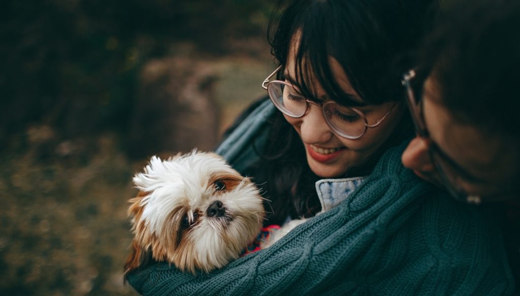 pensao-para-pets