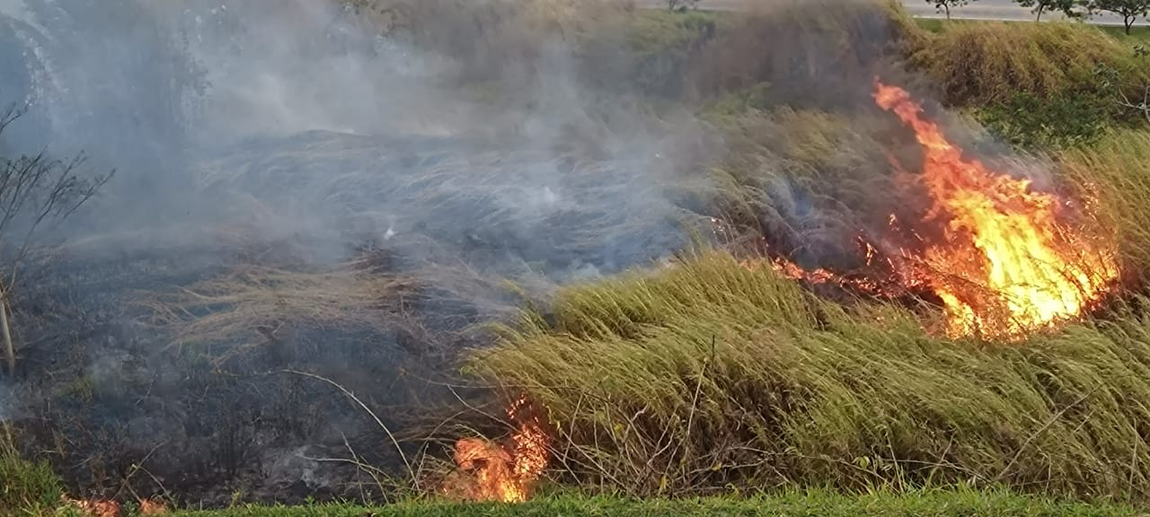 Queimada atinge área equivalente a três campos de futebol perto da Petrobras em SJC 2 WhatsApp Image 2022 08 05 at 18.06.18