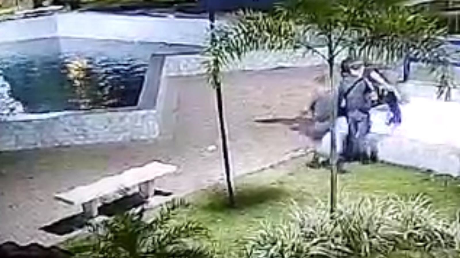 PMs salvam vida de cachorro em fonte de praça de Cruzeiro
