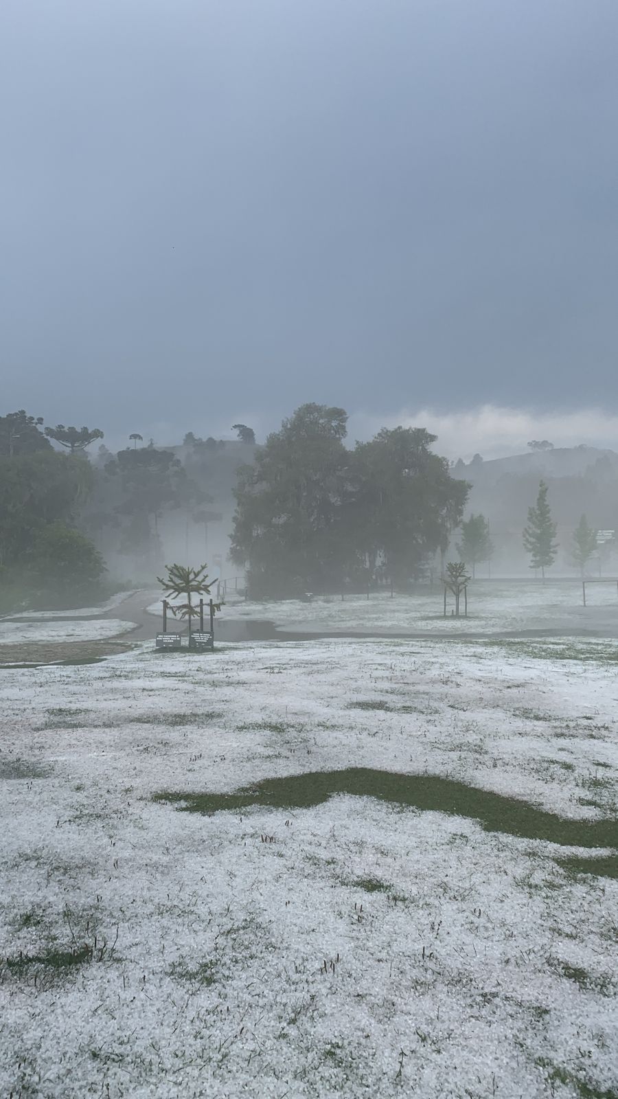 Chuva de granizo deixa paisagem de Campos do Jordão branca