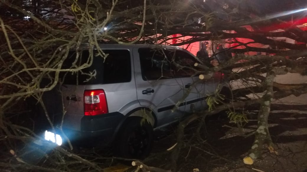 Árvore cai em cima de carro e deixa um homem ferido em São José dos Campos