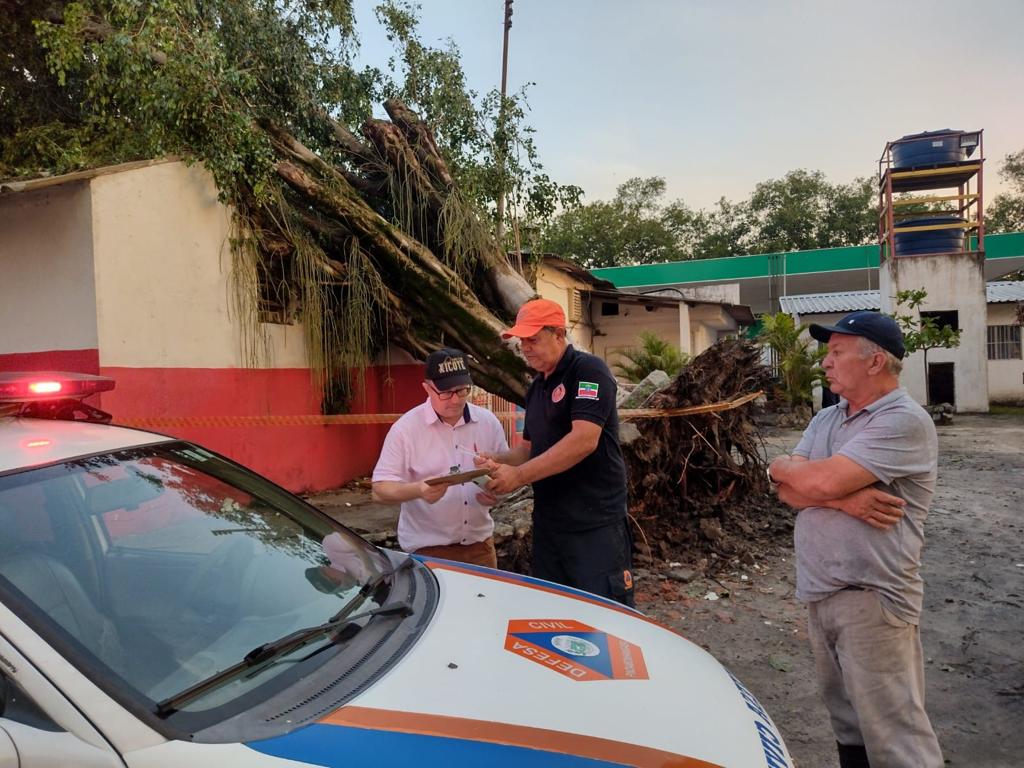 VÍDEOS: Ventos fortes derrubam árvores em Pindamonhangaba