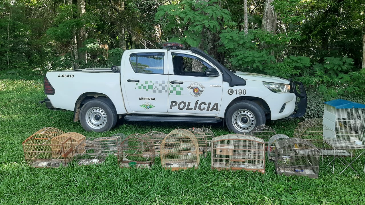 Polícia Ambiental apreende 63 aves criadas em cativeiro em Guaratinguetá e Roseira