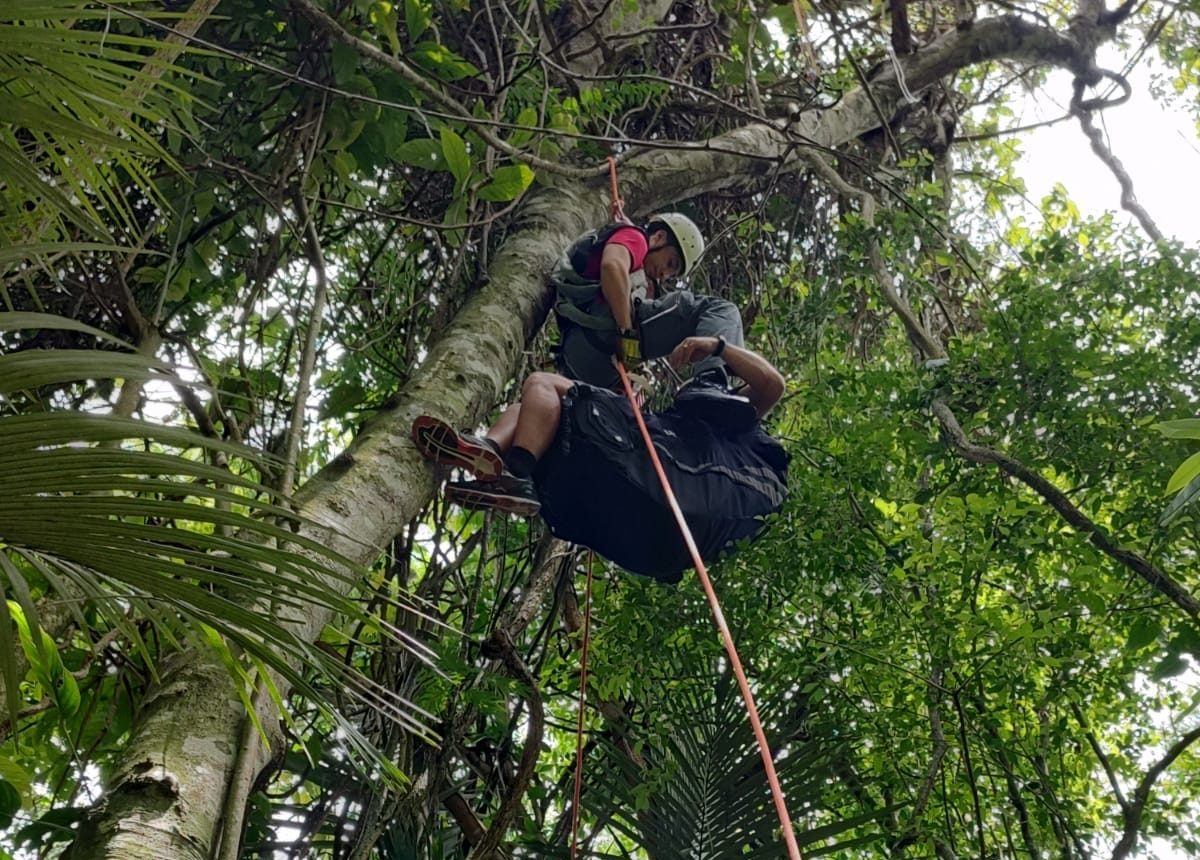 Bombeiros resgatam homem que caiu de paraglider na Mata Atlântica em Caraguatatuba